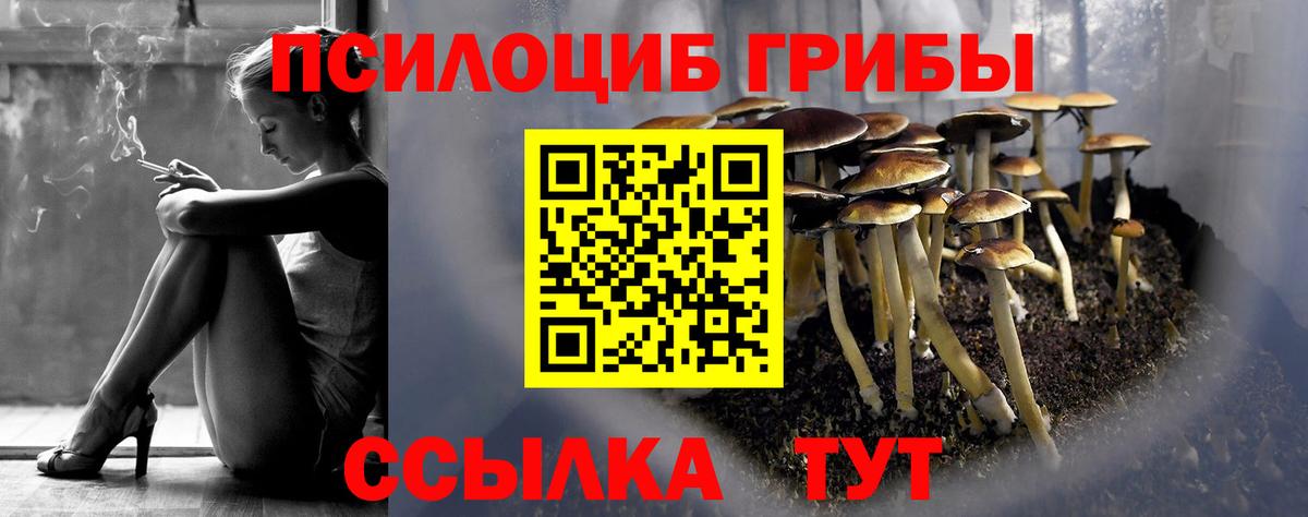 Галлюциногенные грибы GOLDEN TEACHER Хасавюрт